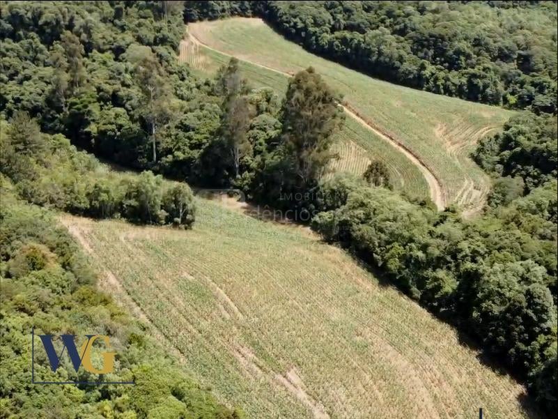 Chácara à Venda  Colônia Balbino Cunha, Campo Largo PR