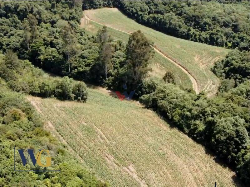 Chácara à Venda no Bairro Colônia Balbino Cunha  Campo Largo ...
