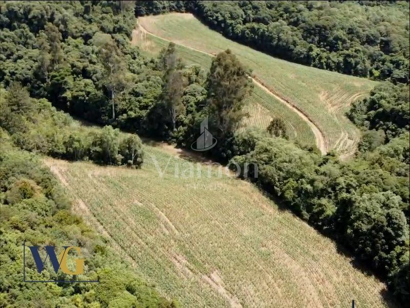 Chácara à Venda no Bairro Colônia Balbino Cunha  Campo Largo ...