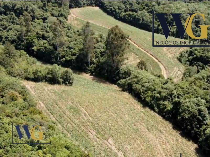 Chácara à Venda no Bairro Colônia Balbino Cunha  Campo Largo ...