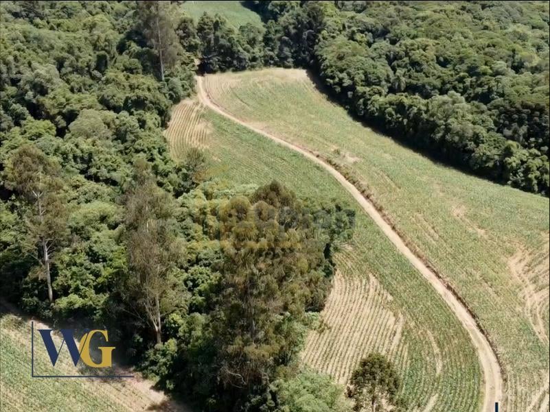 Chácara à Venda no Bairro Colônia Balbino Cunha  Campo Largo ...