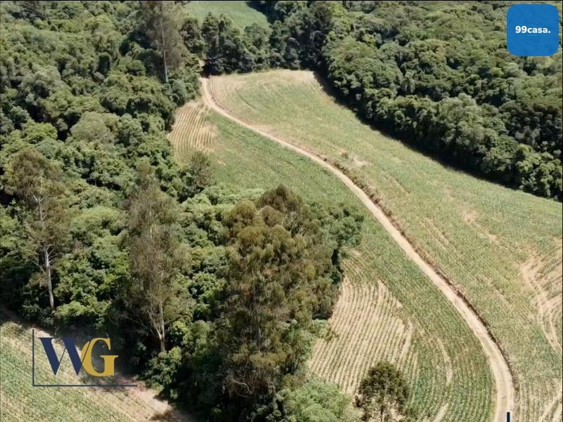 Chácara à Venda no Bairro Colônia Balbino Cunha  Campo Largo ...
