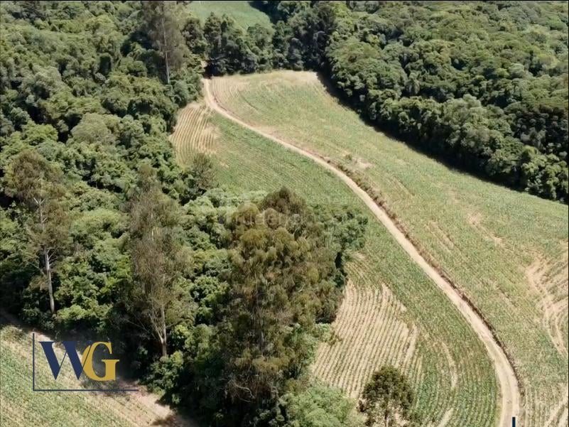 Chácara à Venda  Colônia Balbino Cunha, Campo Largo PR