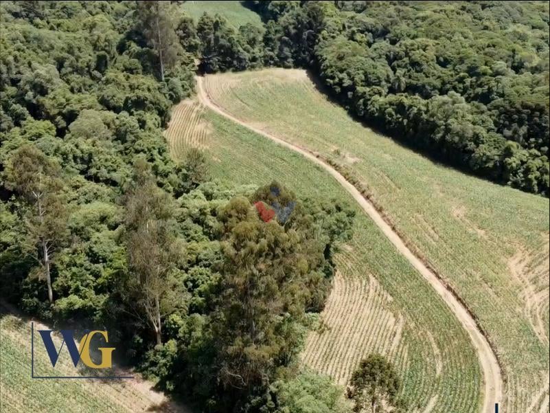 Chácara à Venda no Bairro Colônia Balbino Cunha  Campo Largo ...