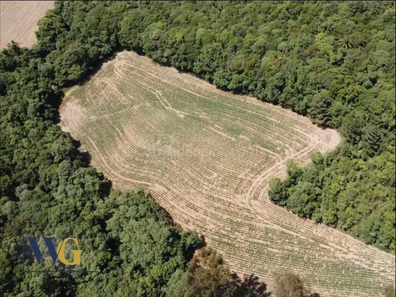 Chácara à Venda  Colônia Balbino Cunha, Campo Largo PR