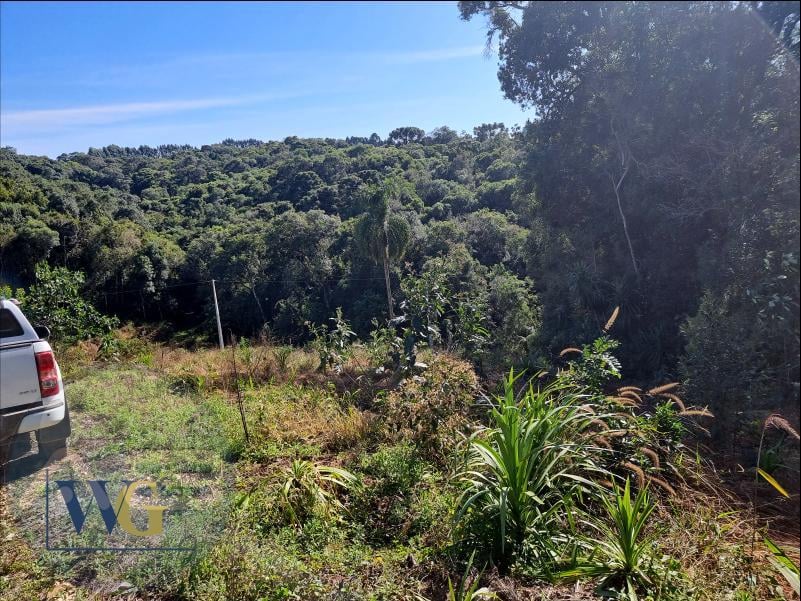Chácara à Venda no Bairro Rodeio Santo Antônio  Campina   Bal...