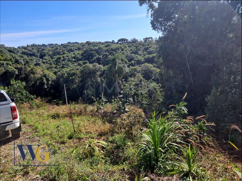 Chácara à Venda no Bairro Rodeio Santo Antônio  Campina   Bal...
