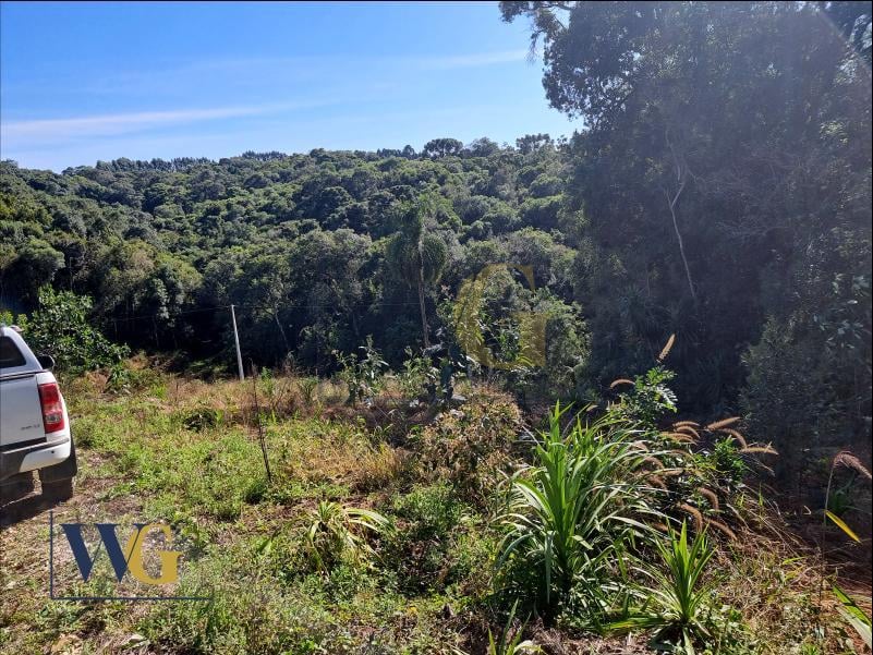 Chácara à Venda no Bairro Rodeio Santo Antônio  Campina   Bal...