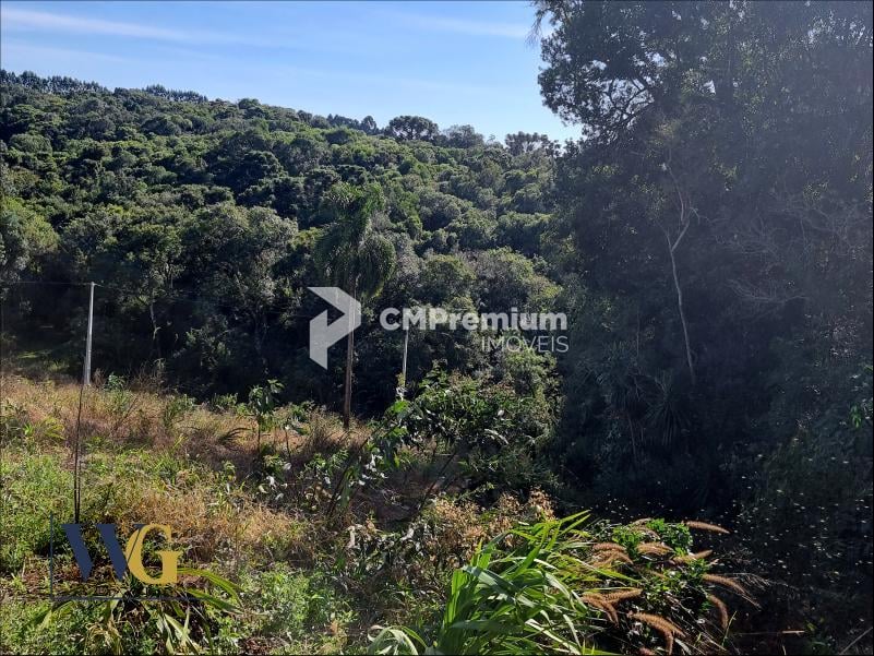 Chácara à Venda no Bairro Rodeio Santo Antônio  Campina   Bal...