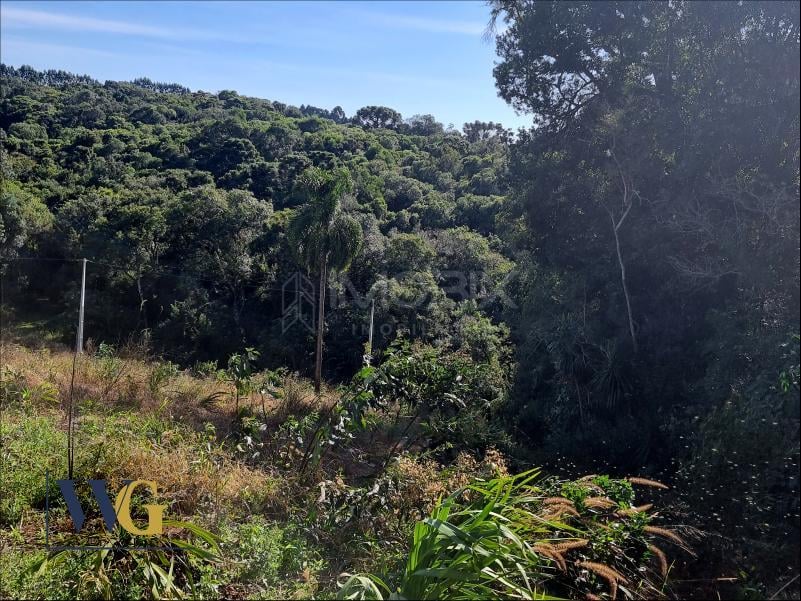 Chácara à Venda no Bairro Rodeio Santo Antônio  Campina   Bal...