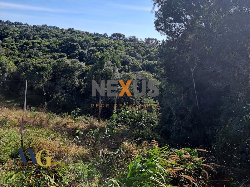 Chácara à Venda no Bairro Rodeio Santo Antônio  Campina   Bal...