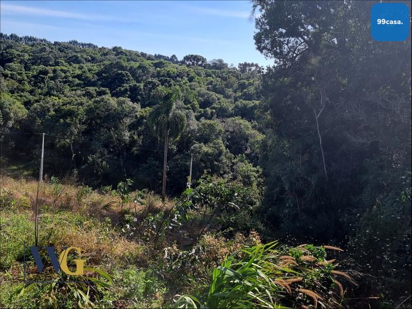 Chácara à Venda no Bairro Rodeio Santo Antônio  Campina   Bal...