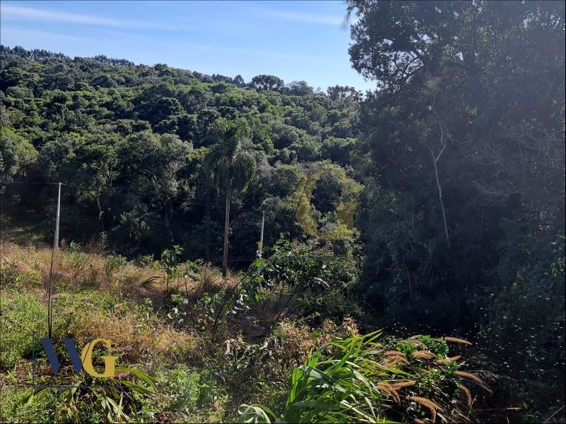Chácara à Venda no Bairro Rodeio Santo Antônio  Campina   Bal...