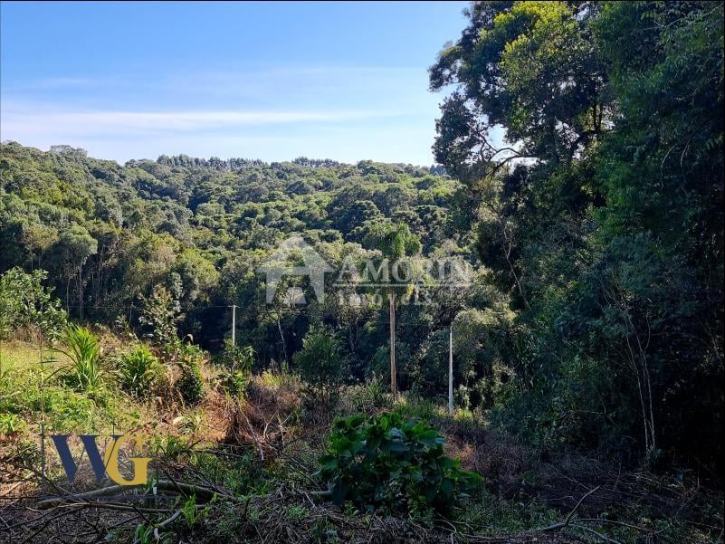 Chácara à Venda no Bairro Rodeio Santo Antônio  Campina   Bal...
