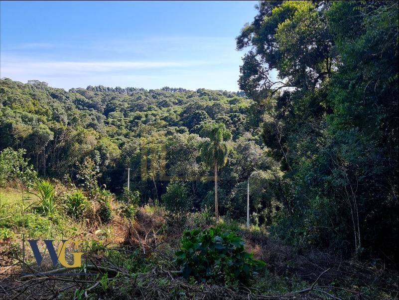 Chácara à Venda no Bairro Rodeio Santo Antônio  Campina   Bal...