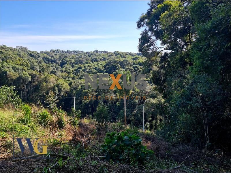 Chácara à Venda no Bairro Rodeio Santo Antônio  Campina   Bal...