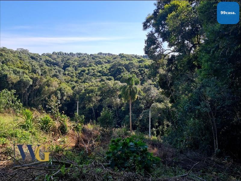 Chácara à Venda no Bairro Rodeio Santo Antônio  Campina   Bal...