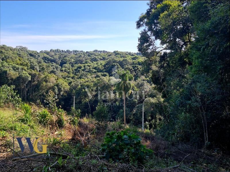 Chácara à Venda no Bairro Rodeio Santo Antônio  Campina   Bal...