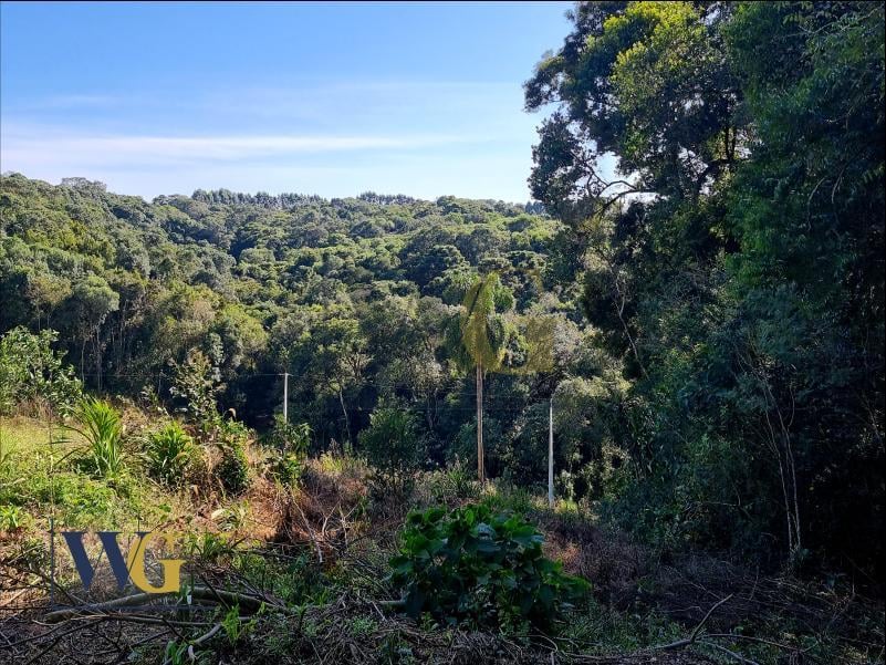 Chácara à Venda no Bairro Rodeio Santo Antônio  Campina   Bal...