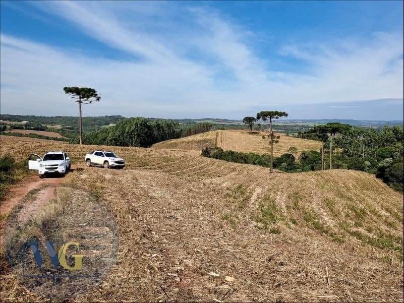 Ch?cara ? Venda ? Bairro Rodeio Santo Ant?nio, Balsa Nova PR