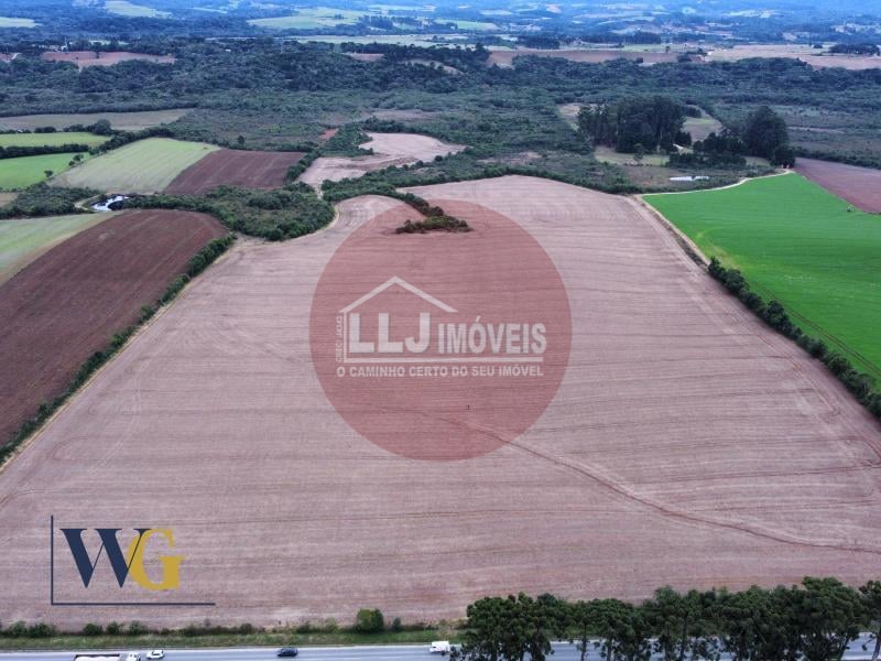 Área Industrial à Venda - Balsa Nova PR   Localização Privilegiada em Balsa Nova