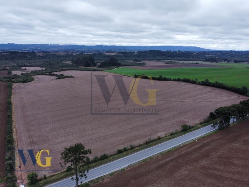 Área Industrial à Venda - Balsa Nova PR   Localização Privileg...