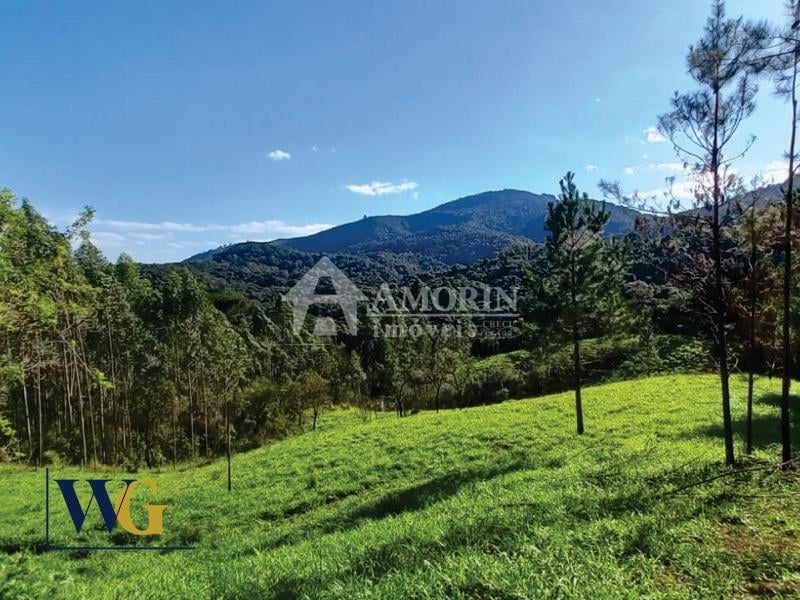 Chácara à venda, Felpudo, CAMPO LARGO - PR