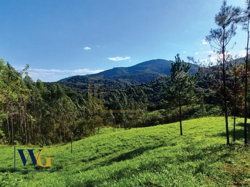 Chácara à venda, Felpudo, CAMPO LARGO - PR