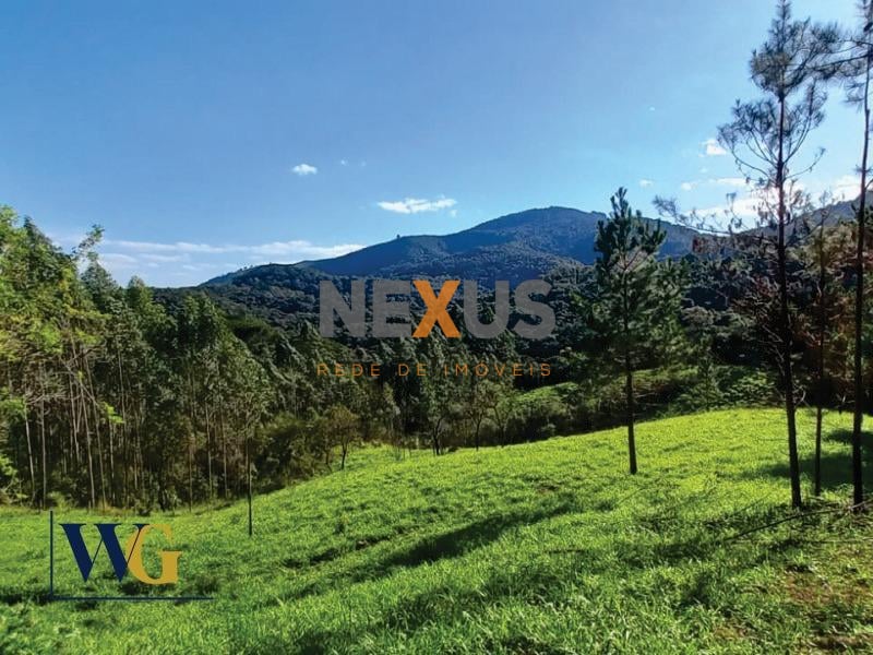 Chácara à venda, Felpudo, CAMPO LARGO - PR