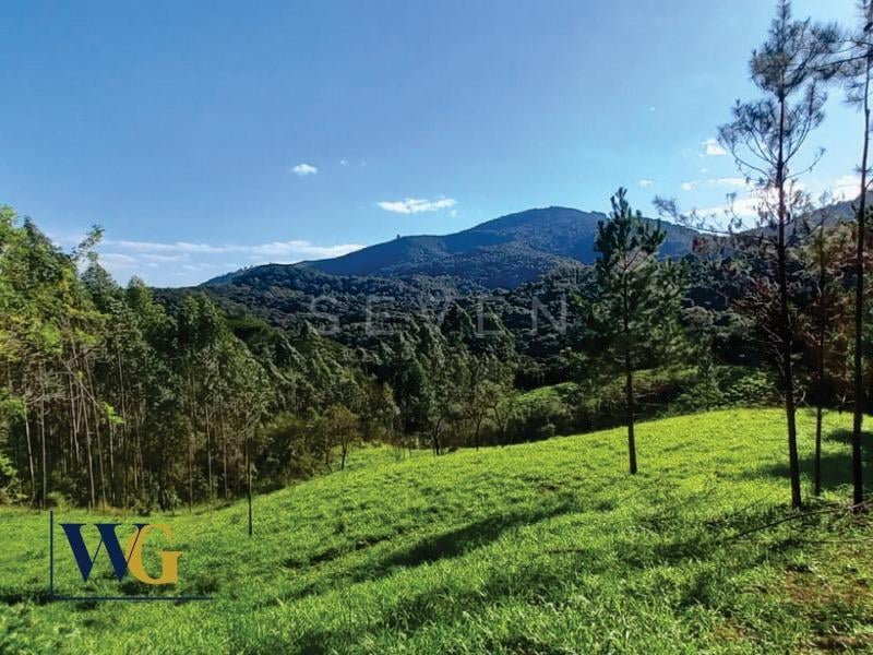 Chácara à venda, Felpudo, CAMPO LARGO - PR