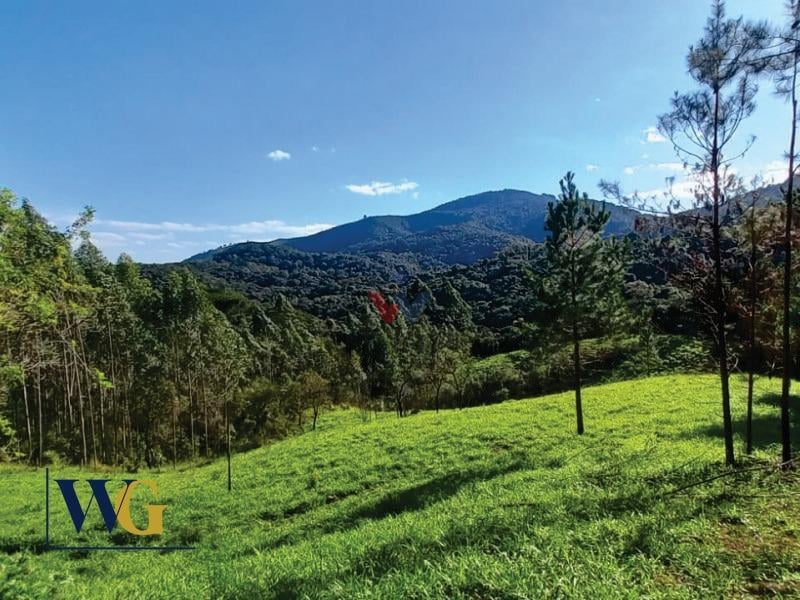 Chácara à venda, Felpudo, CAMPO LARGO - PR