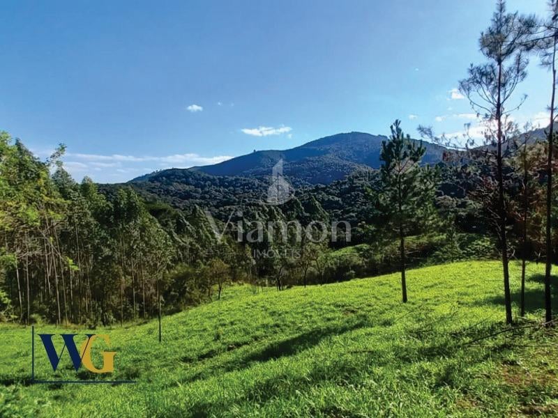 Chácara à venda, Felpudo, CAMPO LARGO - PR