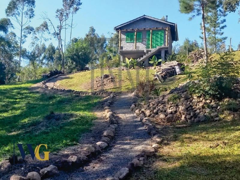 Chácara à venda, Felpudo, CAMPO LARGO - PR